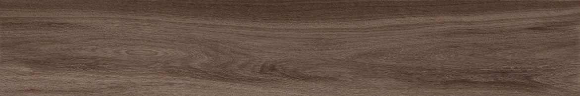 セリス