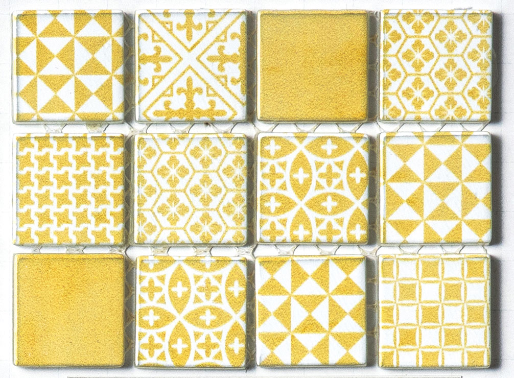 フェレット